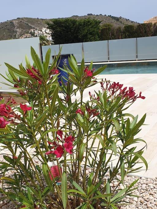 Casa Osimos Portet 450 M 모라이라 외부 사진